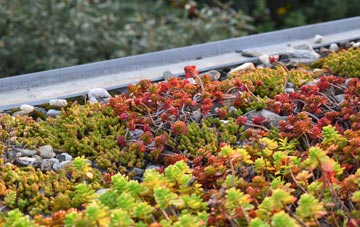 the cost of Row Brow green roof installation