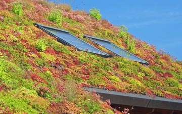 Row Brow living roof systems