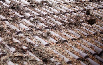 Row Brow roof cleaning companies