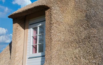 Row Brow thatch roof disadvantages