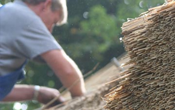 professional Row Brow thatchers