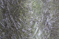 Row Brow fibreglass roof work